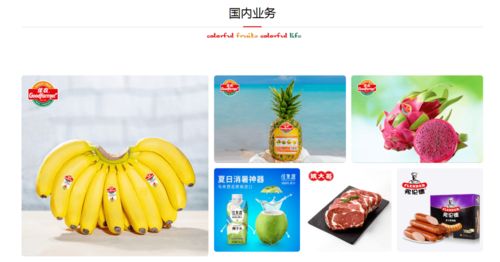 攜手并進，共創未來 佳農集團與巧廚供應鏈合作項目正式啟動